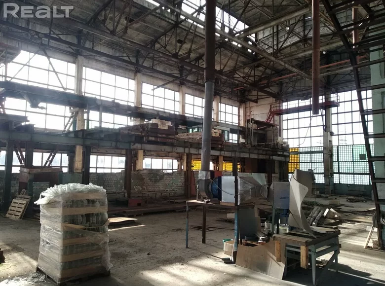Manufacture 9 999 m² in Asipovichy District, Belarus