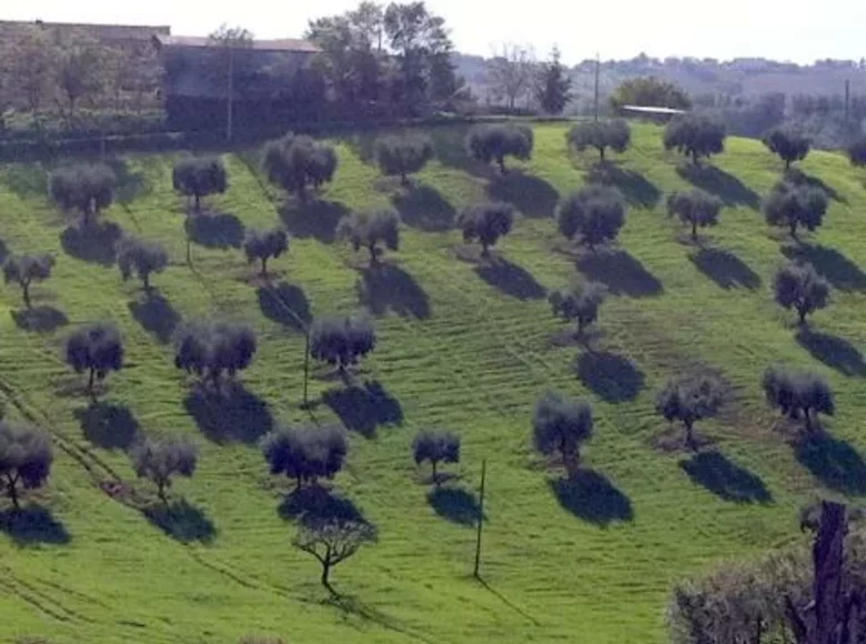 Земельные участки 45 000 м² Терни, Италия
