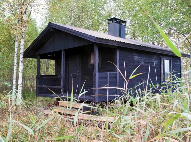 Cottage 1 bedroom 26 m² Pirkanmaa, Finland