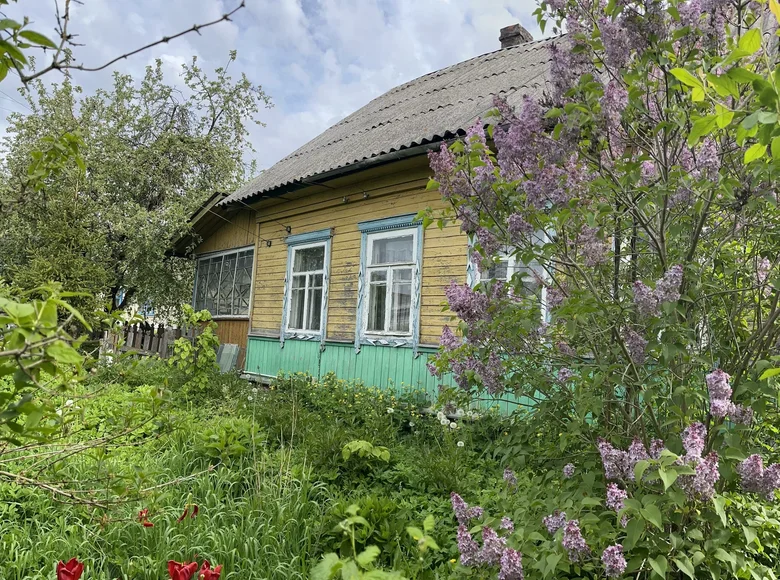 Haus 47 m² Mahiljou, Weißrussland