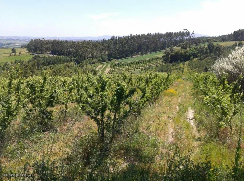 Parcelas  Sao Bras de Alportel, Portugal