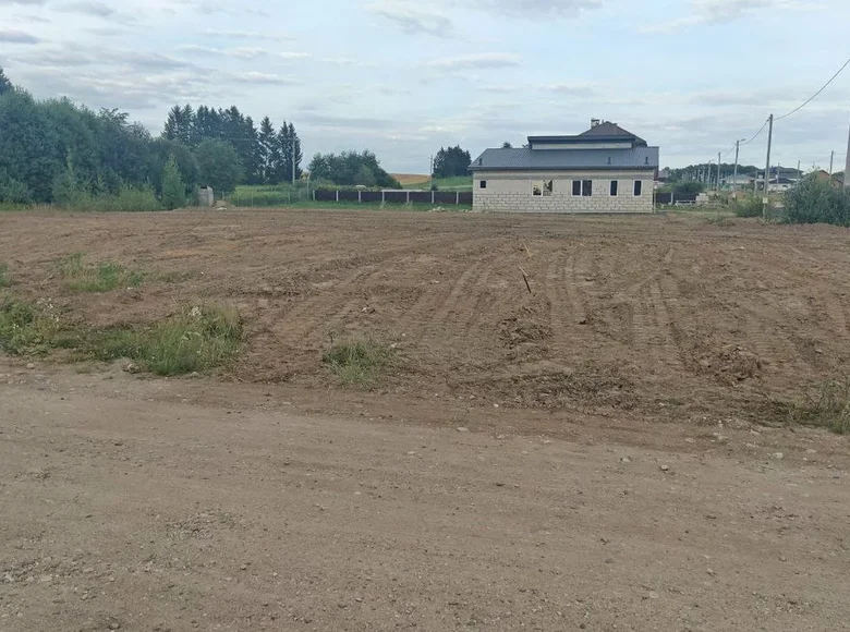 House  Siomkava, Belarus