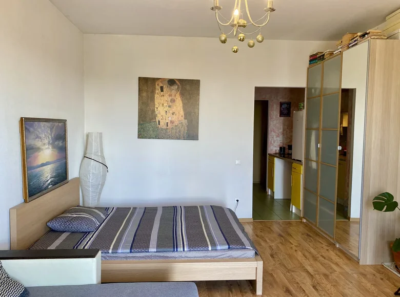 Apartamento 1 habitación 32 m² okrug Ozero Dolgoe, Rusia