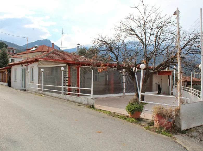 Commercial property 65 m² in Skotina, Greece