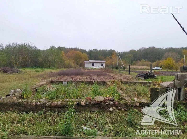 Land  Recycki sielski Saviet, Belarus