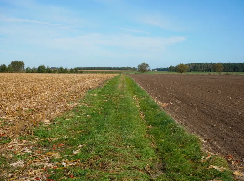 Land 20 800 m² Strzepin, Poland