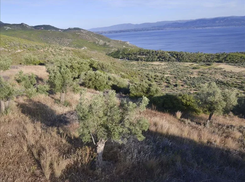 Atterrir 1 chambre  Municipality of Loutraki and Agioi Theodoroi, Grèce