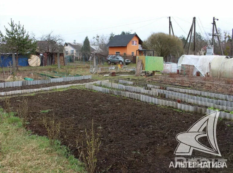 Land  Masievicy, Belarus