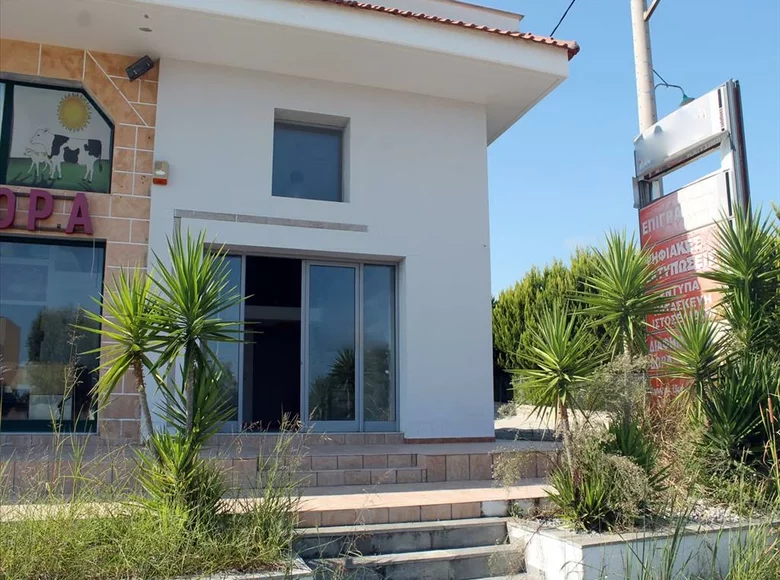Commercial property 100 m² in Nea Fokea, Greece
