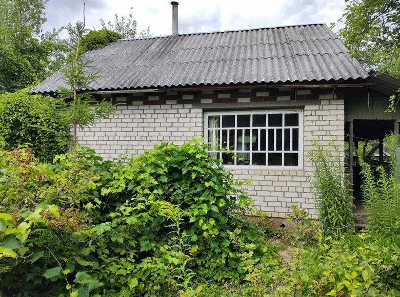 Haus 30 m² Rakauski sielski Saviet, Weißrussland