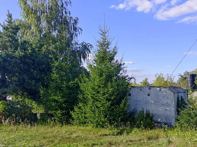 Haus  Dabryniouski siel ski Saviet, Weißrussland