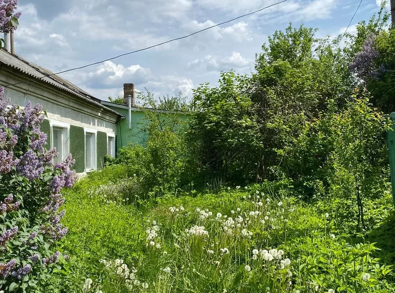 Haus 49 m² Visniouka, Weißrussland