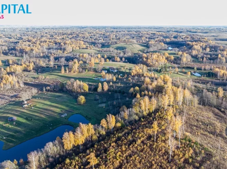 Grundstück  Varlyne, Litauen