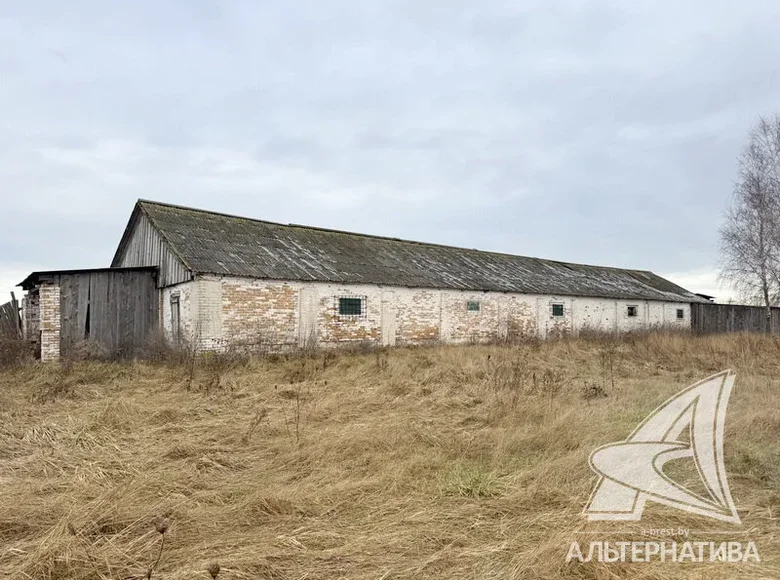 Производство 348 м² Тевельский сельский Совет, Беларусь