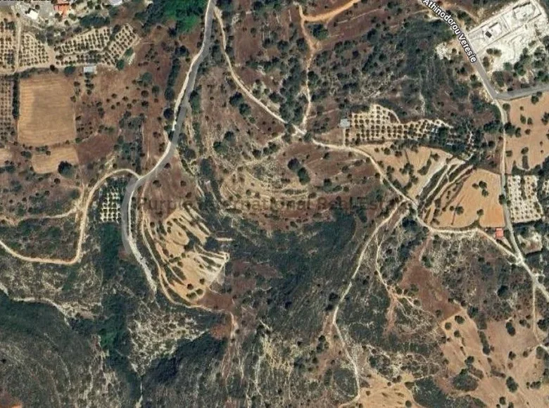 Land  Souni–Zanatzia, Cyprus