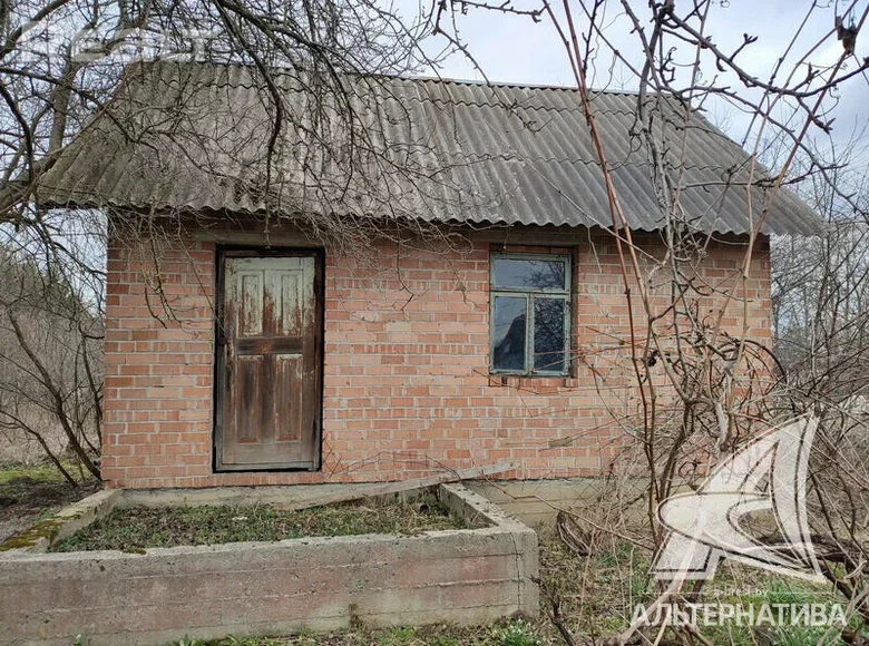 Haus 45 m² Znamienski sielski Saviet, Weißrussland