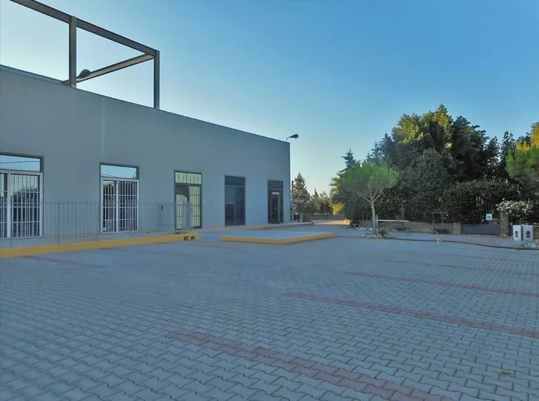 Commercial property 1 400 m² in Paiania, Greece