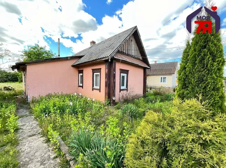 House 54 m² Lyuban, Belarus