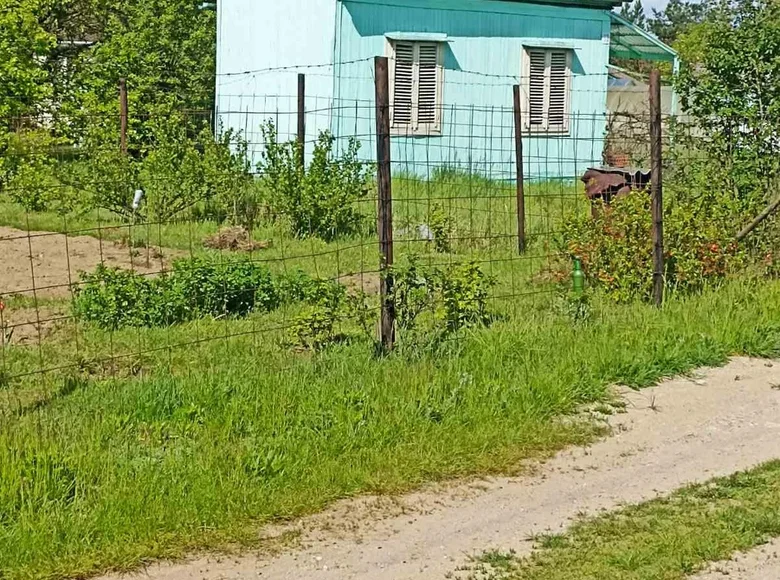 Casa  Holacki sielski Saviet, Belarús