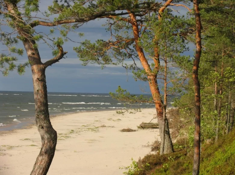 Grundstück 9 833 m² Rigaer Strand, Lettland