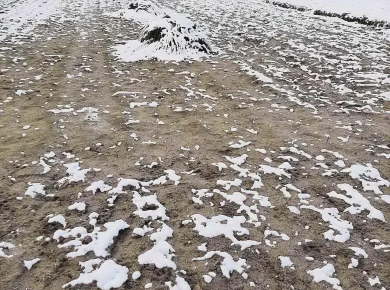 Land  Kozienski sielski Saviet, Belarus