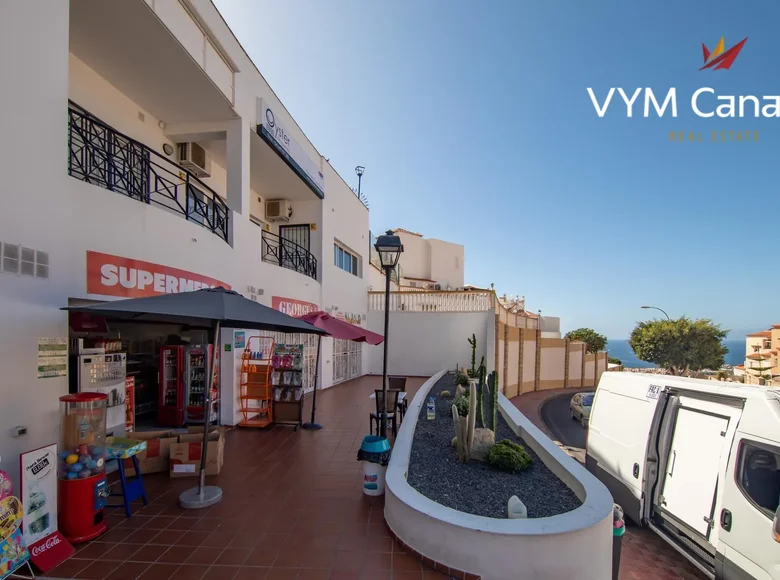 Appartement 1 chambre 148 m² Miraverde, Espagne