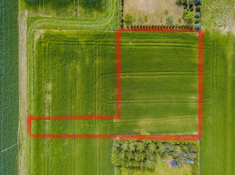 Land 1 689 m² Radzyny, Poland