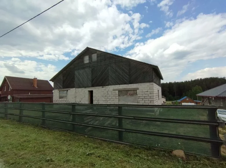 House  Staryna, Belarus