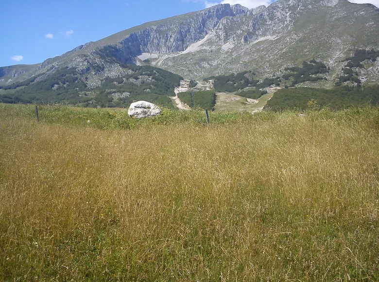 Grundstück  Zabljak, Montenegro