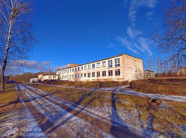 Manufacture 1 804 m² in Hotland rural council, Belarus