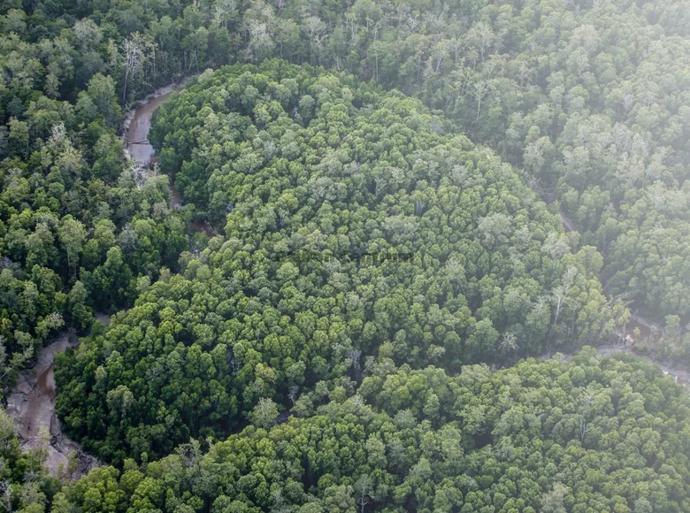 Działki 1 700 000 m² Kistelek, Węgry