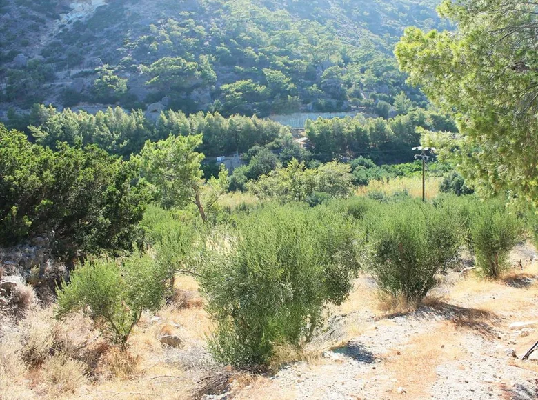 Land 1 room  Mountain Community, Greece