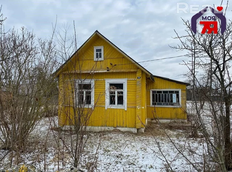 House 46 m² Zalesse, Belarus