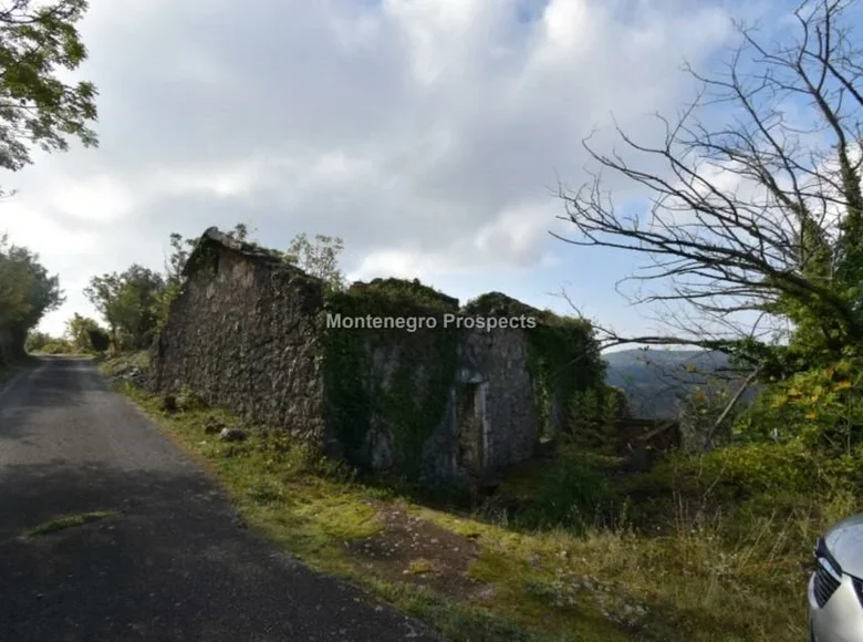 Land  Montenegro, Montenegro