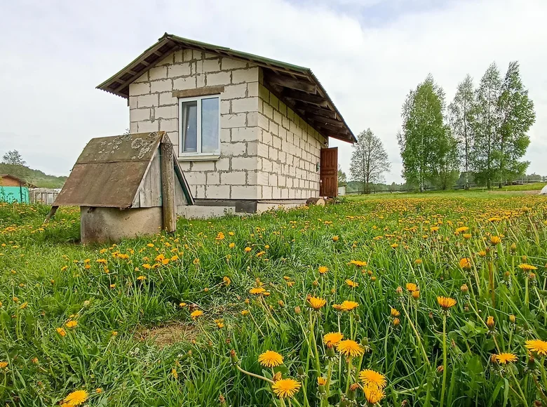 Haus  Januskavicki siel ski Saviet, Weißrussland