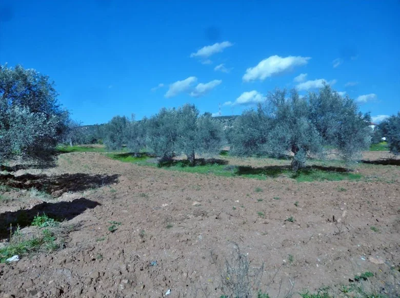 Parcelas 1 habitación  Panorama, Grecia