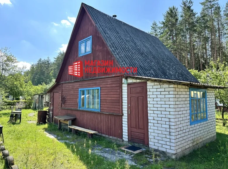 Haus 2 zimmer 43 m² Parecki sielski Saviet, Belarus