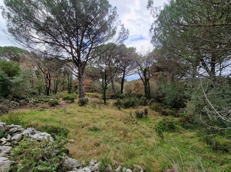 Land 1 150 m² Zagora, Montenegro