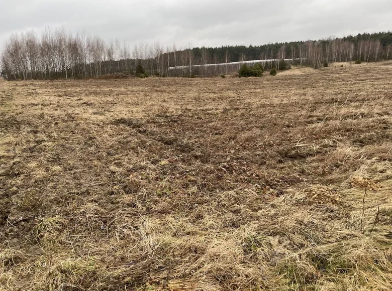 Parcelas 25 000 m² Promna Kolonia, Polonia