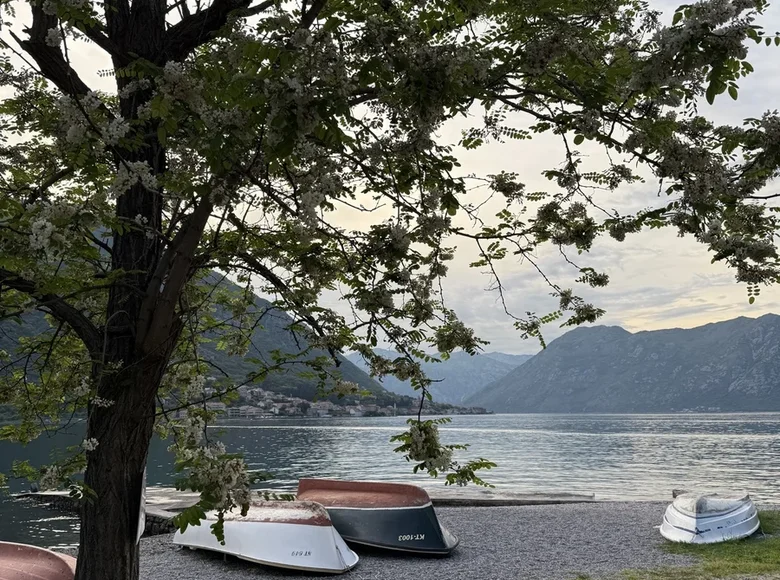 Studio 32 m² Kotor, Montenegro