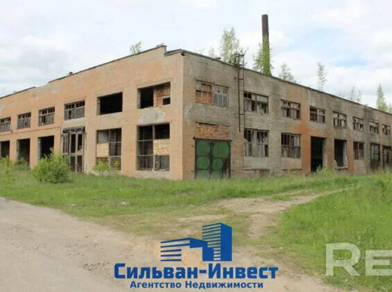 Producción 15 000 m² en Lebedevo, Bielorrusia