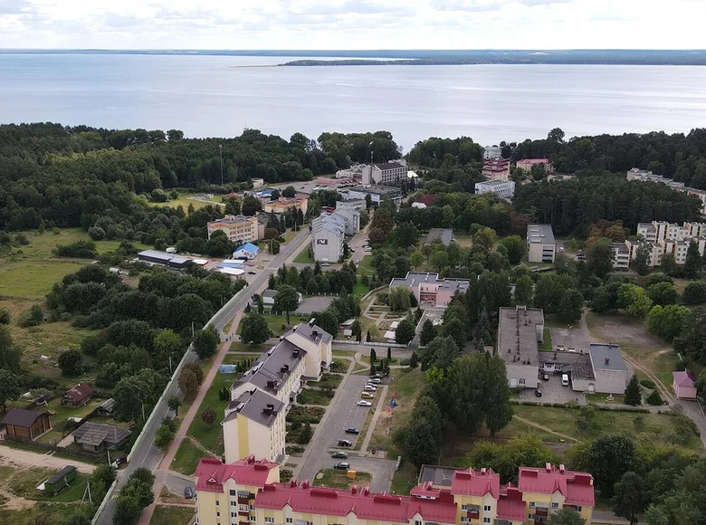 Wohnung 1 zimmer 38 m² Narach, Belarus