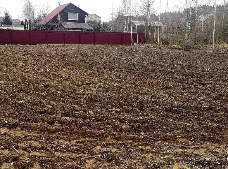 Land  Rakauski sielski Saviet, Belarus