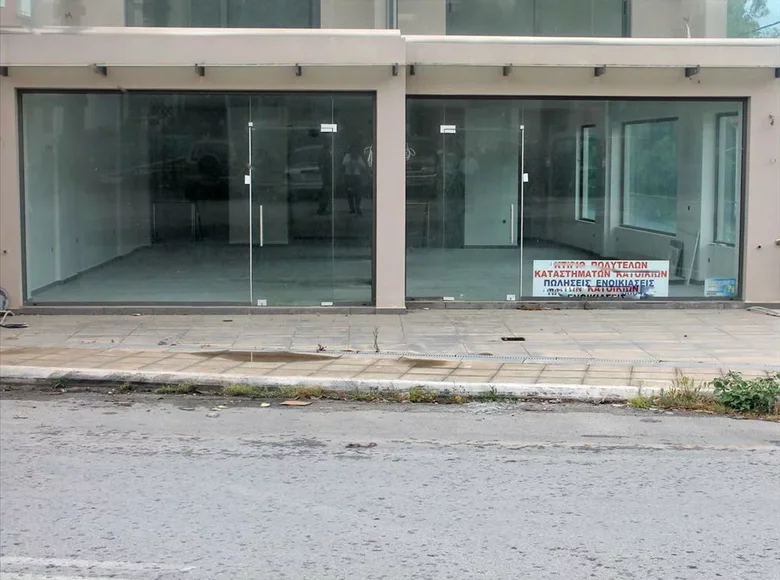 Propiedad comercial 250 m² en Pissonas, Grecia