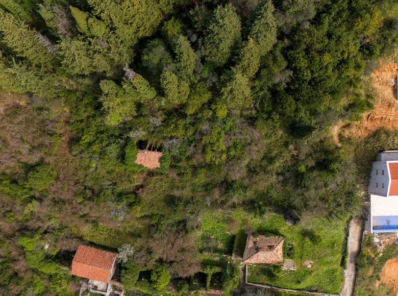 Grundstück 1 954 m² Donja Lastva, Montenegro