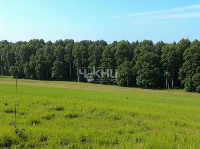 Działki 5 100 000 m² Shakhunya Urban Okrug, Rosja