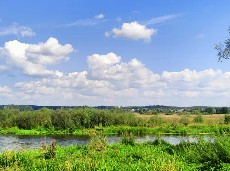 Parcelas  Mahilna, Bielorrusia