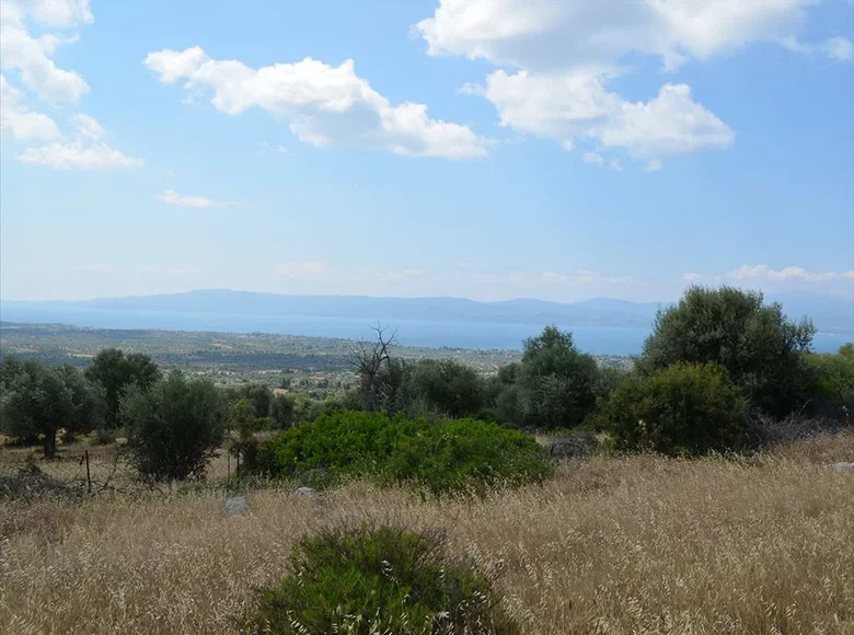 Land 1 room 45 000 m² Magoula, Greece