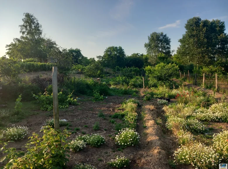 Land 800 m² Hajdusamson, Hungary