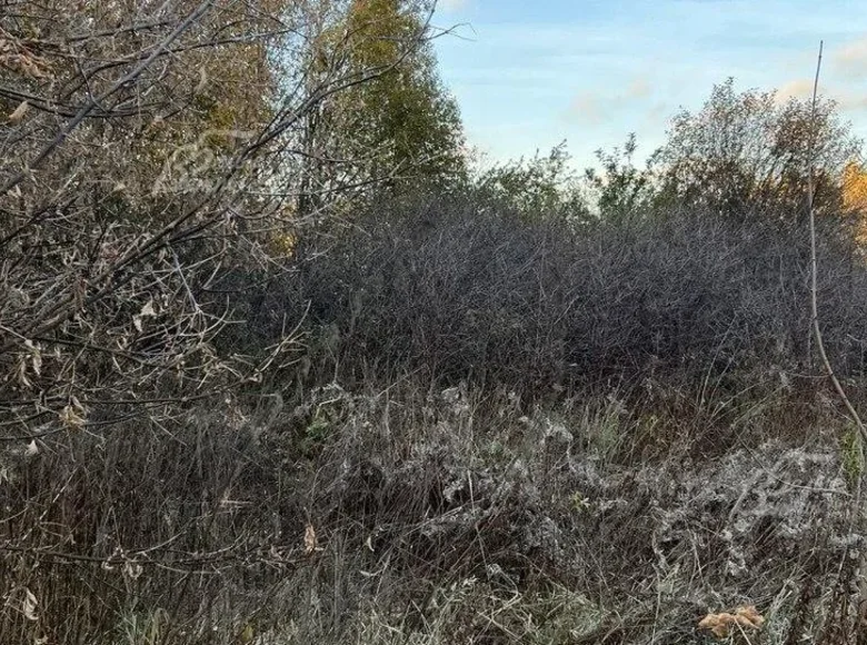 Grundstück  Zimyonki Zimenki Zimenka, Russland